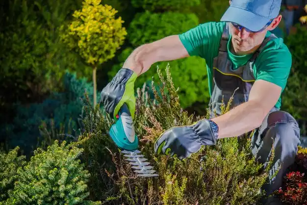 landscaping services Alanson